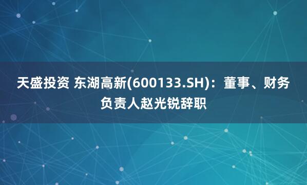 天盛投资 东湖高新(600133.SH)：董事、财务负责人赵光锐辞职
